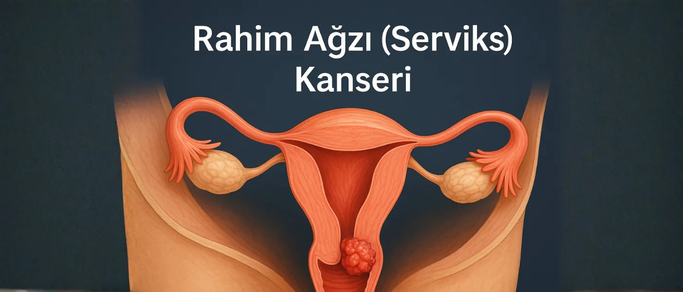Rahim Ağzı (Serviks) Kanseri Ankara